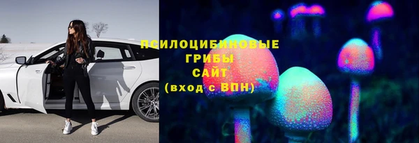 винт Каменск-Шахтинский
